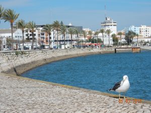 De pier van Portimão, Algarve, Portugal