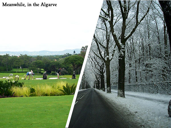 Overwinteren in de Algarve, Portugal - Huisdieren toegestaan