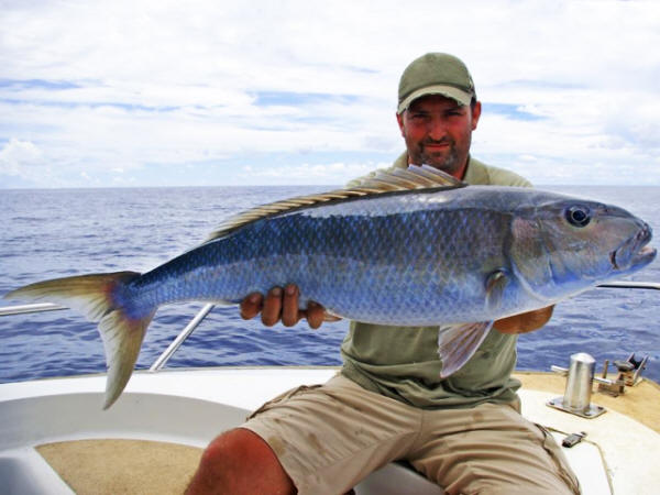 Zeevissen in de Algarve, Tonijn, Dorade en Marlijn Vissen